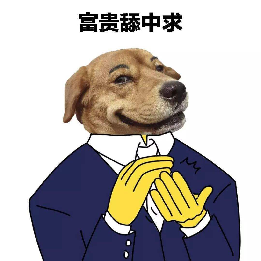 舔狗