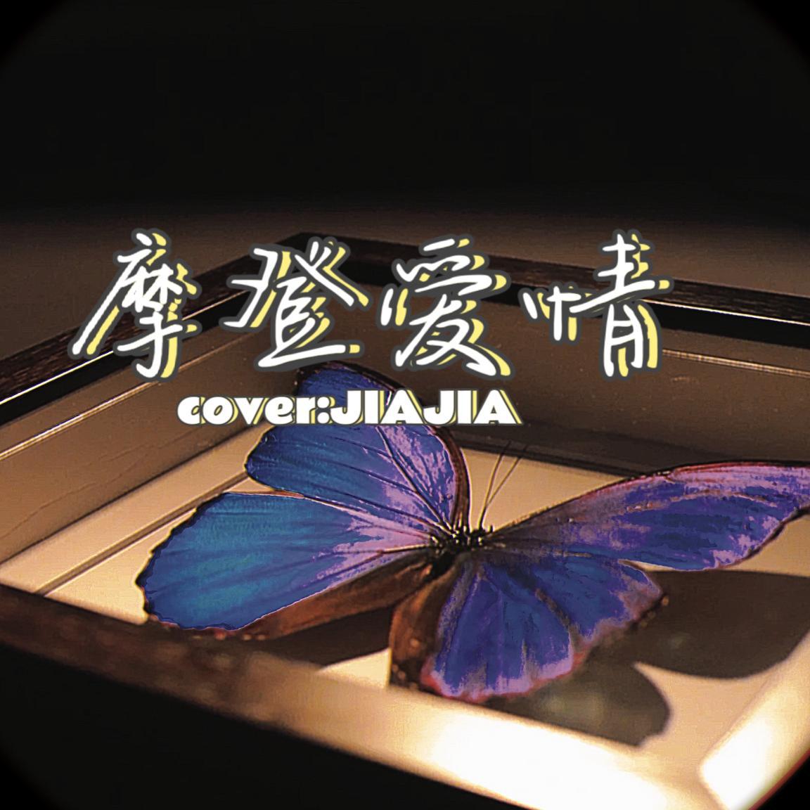 摩登爱情