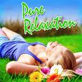 Pure Relaxation: For Relaxing, Stress Relief, Yoga and Tai Chi