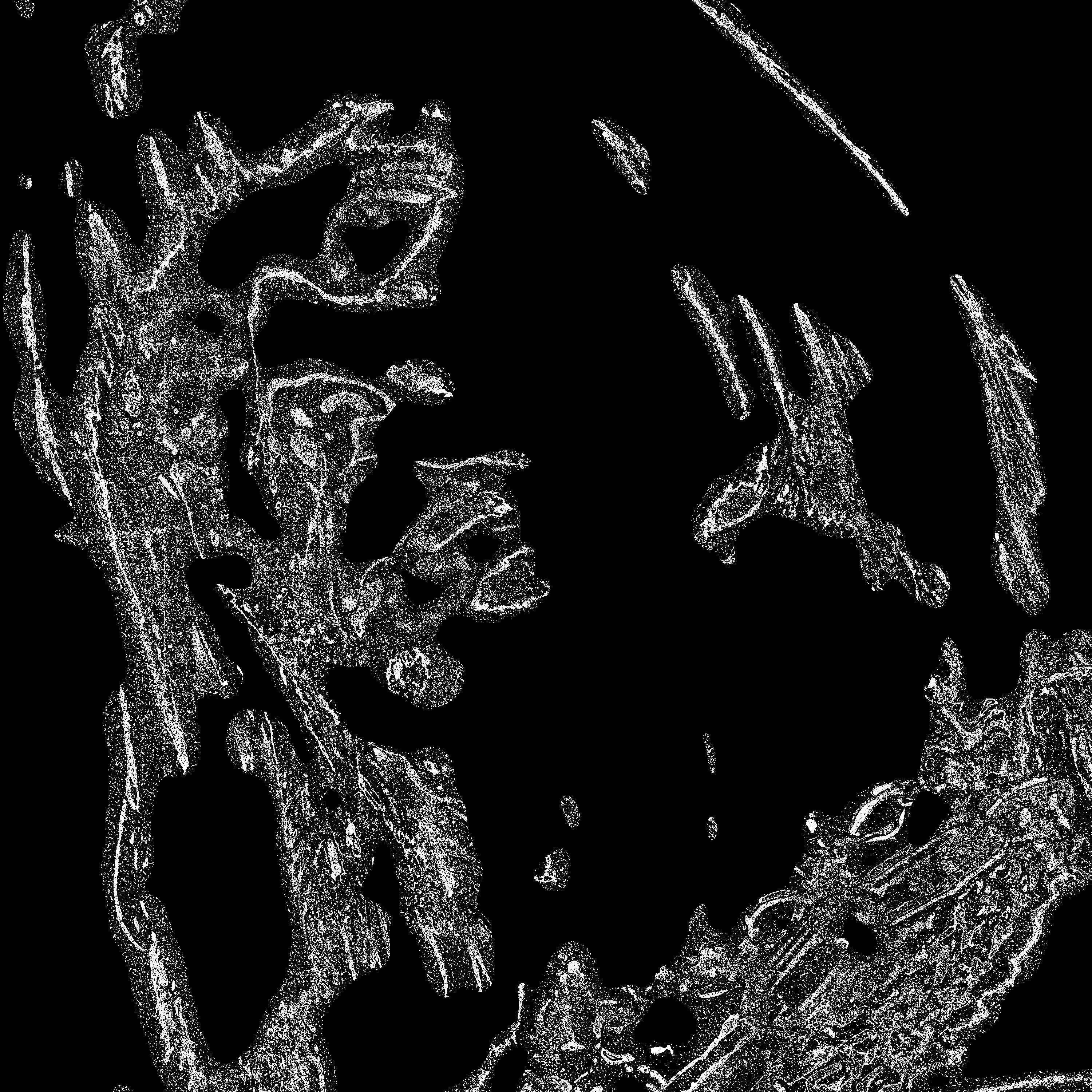 Answer All My Prayers (feat. Nick Smith)