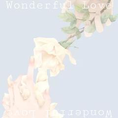 Wonderful Love