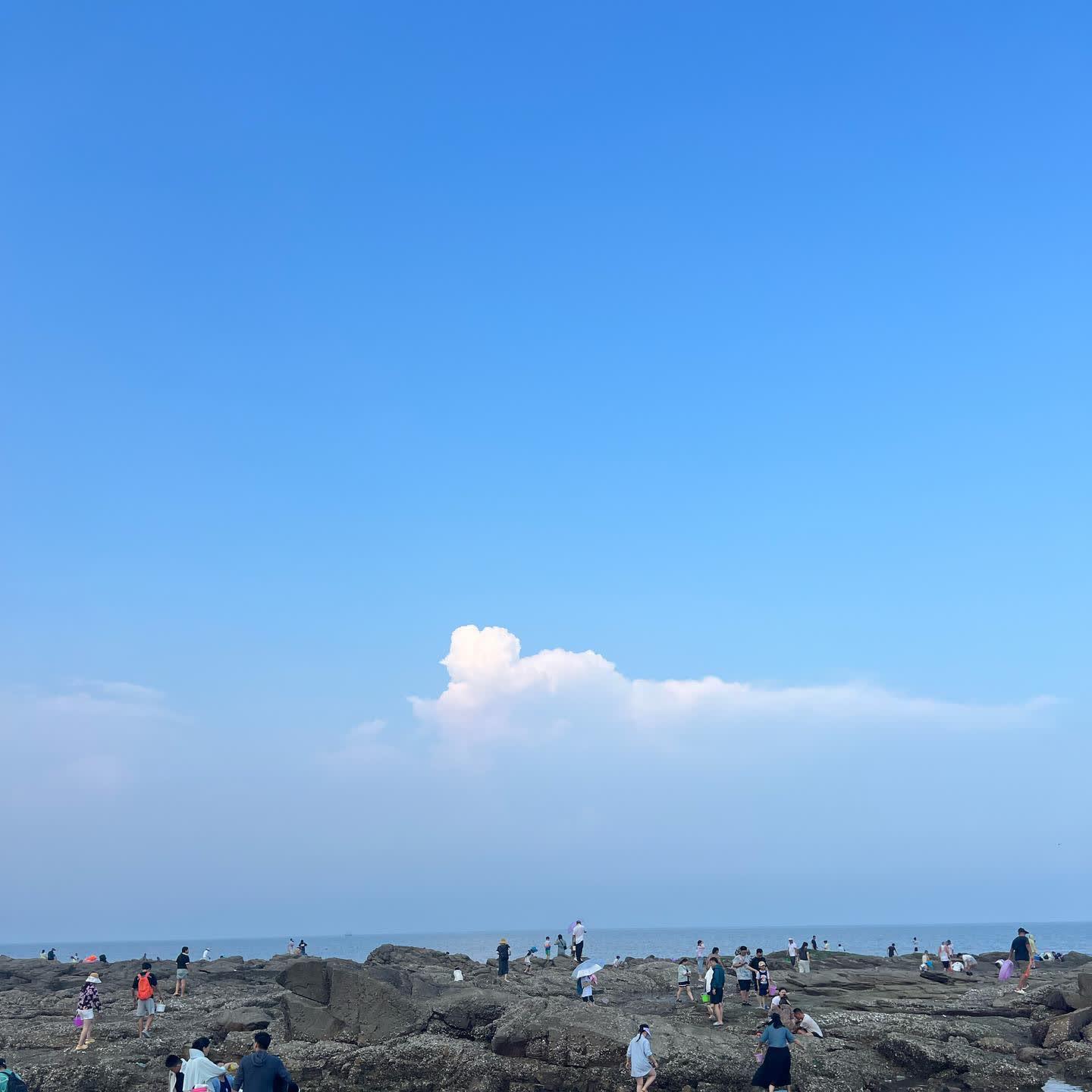 望故乡