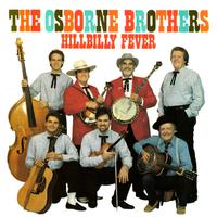 Hillbilly Fever - Country Song (karaoke)