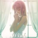 Fate/stay nightイメージアルバム「Wish」
