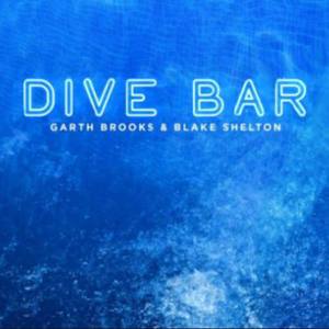 Dive Bar (Karaoke Version) （原版立体声带和声） （升5半音）
