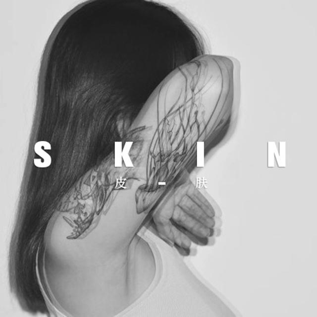 SKIN专辑