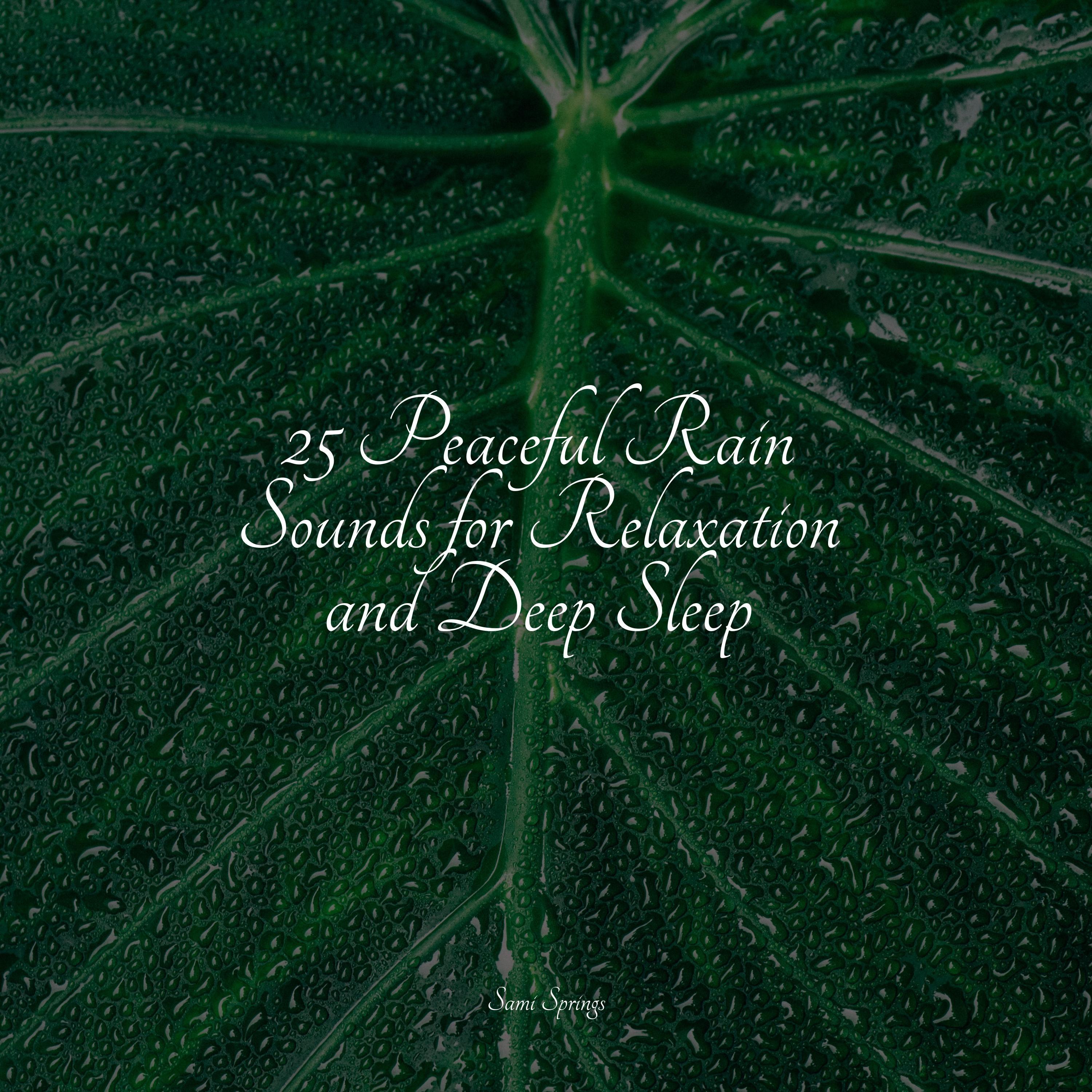 25 Peaceful Rain Sounds for Relaxation and Deep Sleep