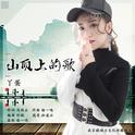 山顶上的歌 (DJLona.X Remix)专辑