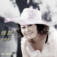 王爱华 - 累了也想喝点酒 (DJ默涵版)