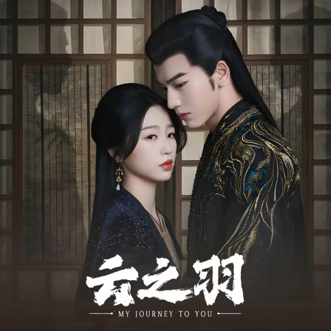 电视剧《云之羽》ost