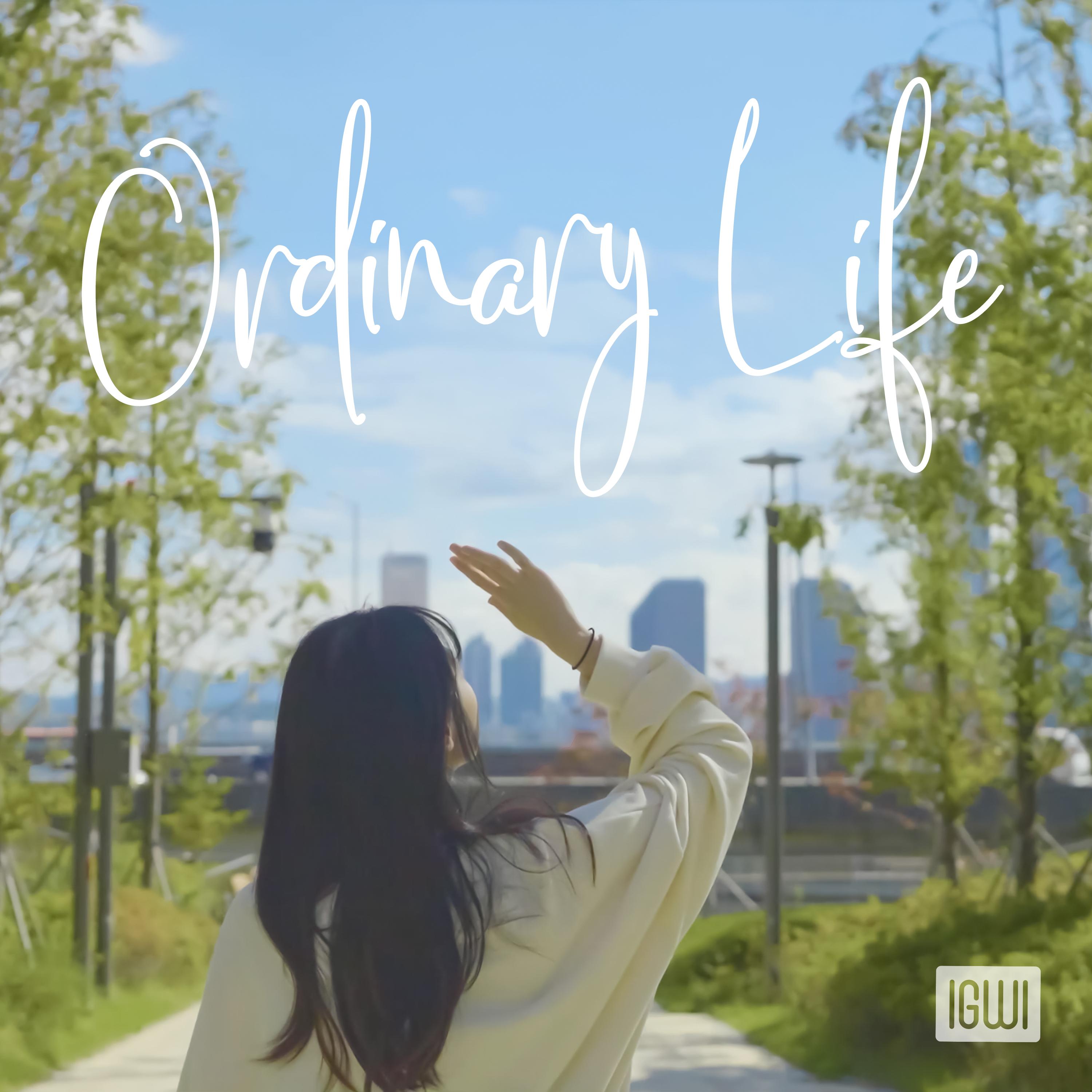 Ordinary life封面