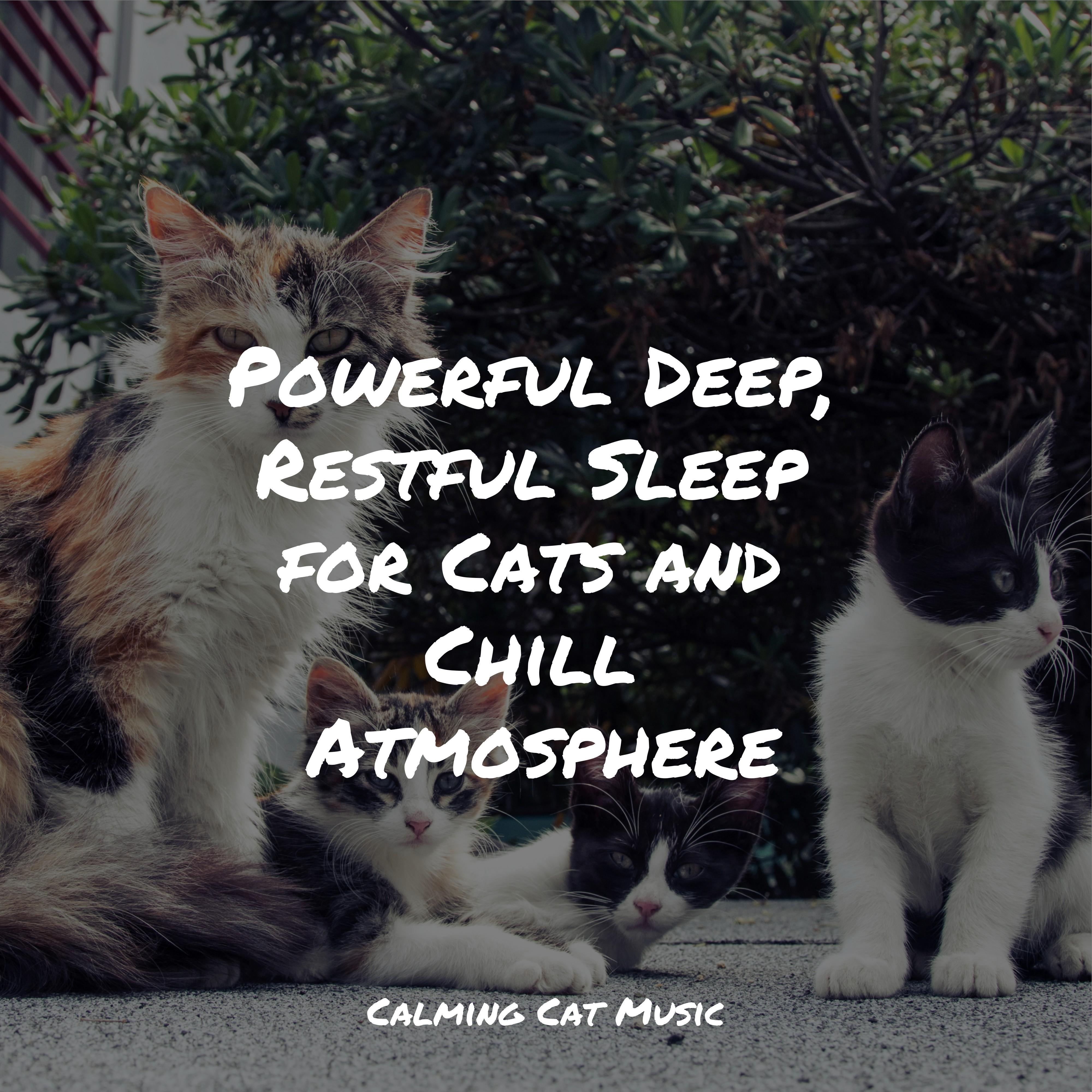 sea whispers - jazz music for cats/music for resting cats/jazz