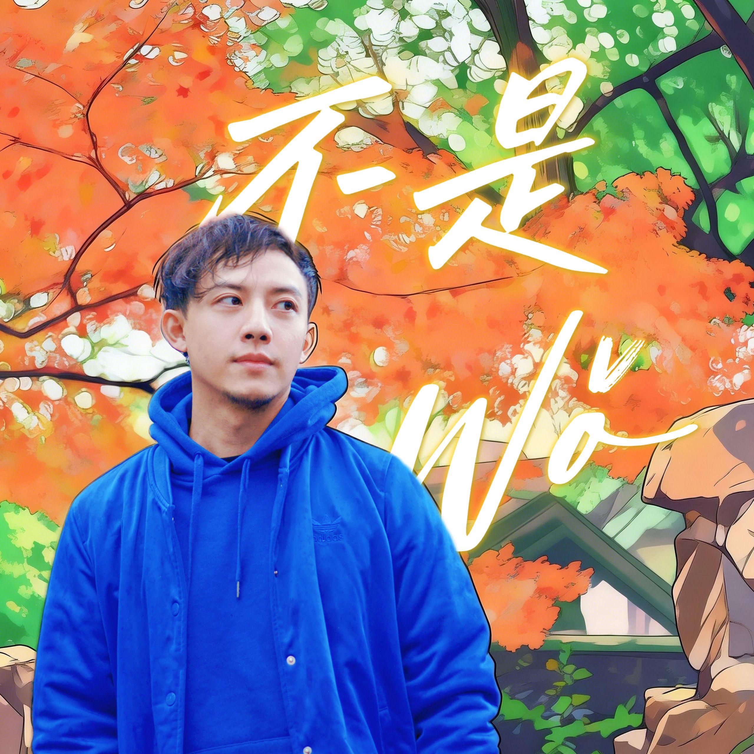 不是我