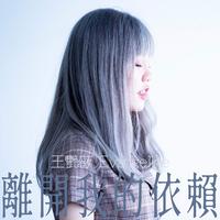 王艳薇 - 离开我的依赖 (DJ豪大大原版伴奏)