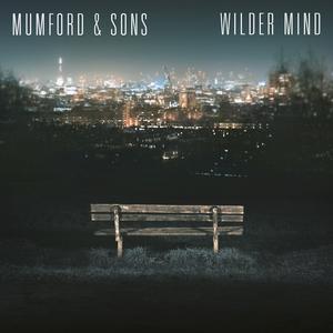 Tompkins Square Park - Mumford & Sons (HT Instrumental) 无和声伴奏