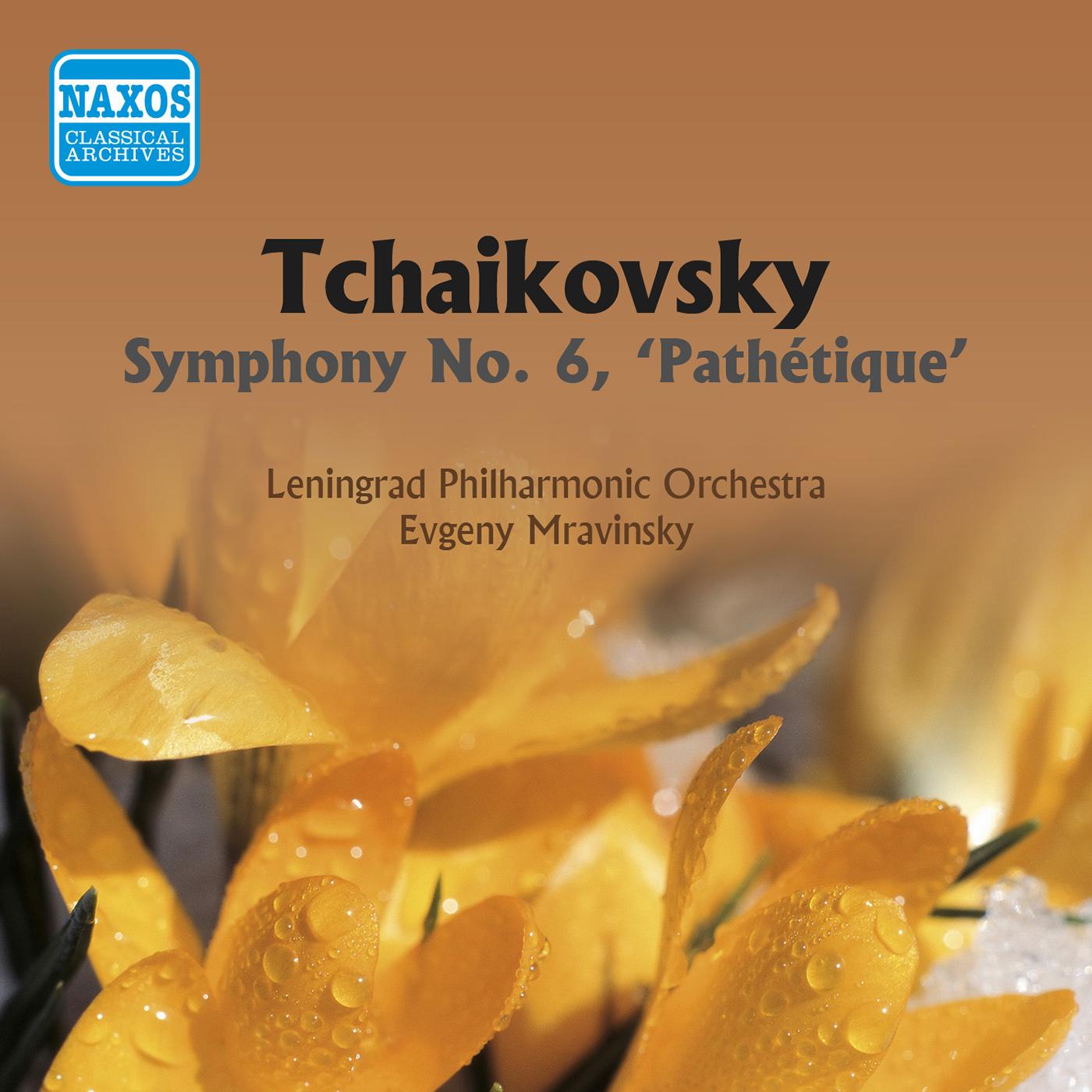 Symphony No. 6 in B Minor, Op. 74, "Pathétique":I. Adagio - Allegro non troppo