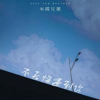 半吨兄弟 - 不后悔遇到你 (DJ九零版)