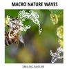 Bright Sky Nature Music Library - Peace Within Waves Sound