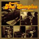 Doggystyle The Samples (20th Anniversary Special)专辑