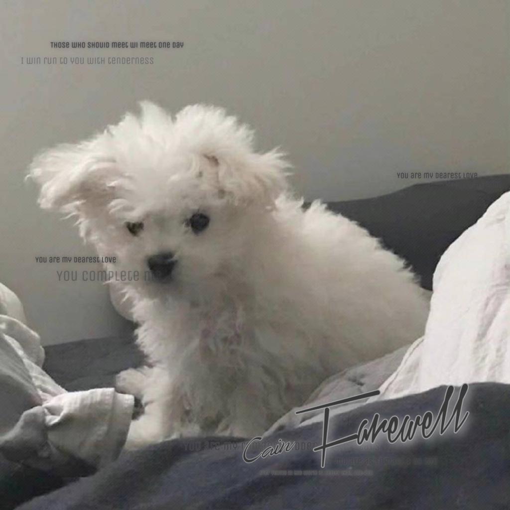 不开心就多听听吧