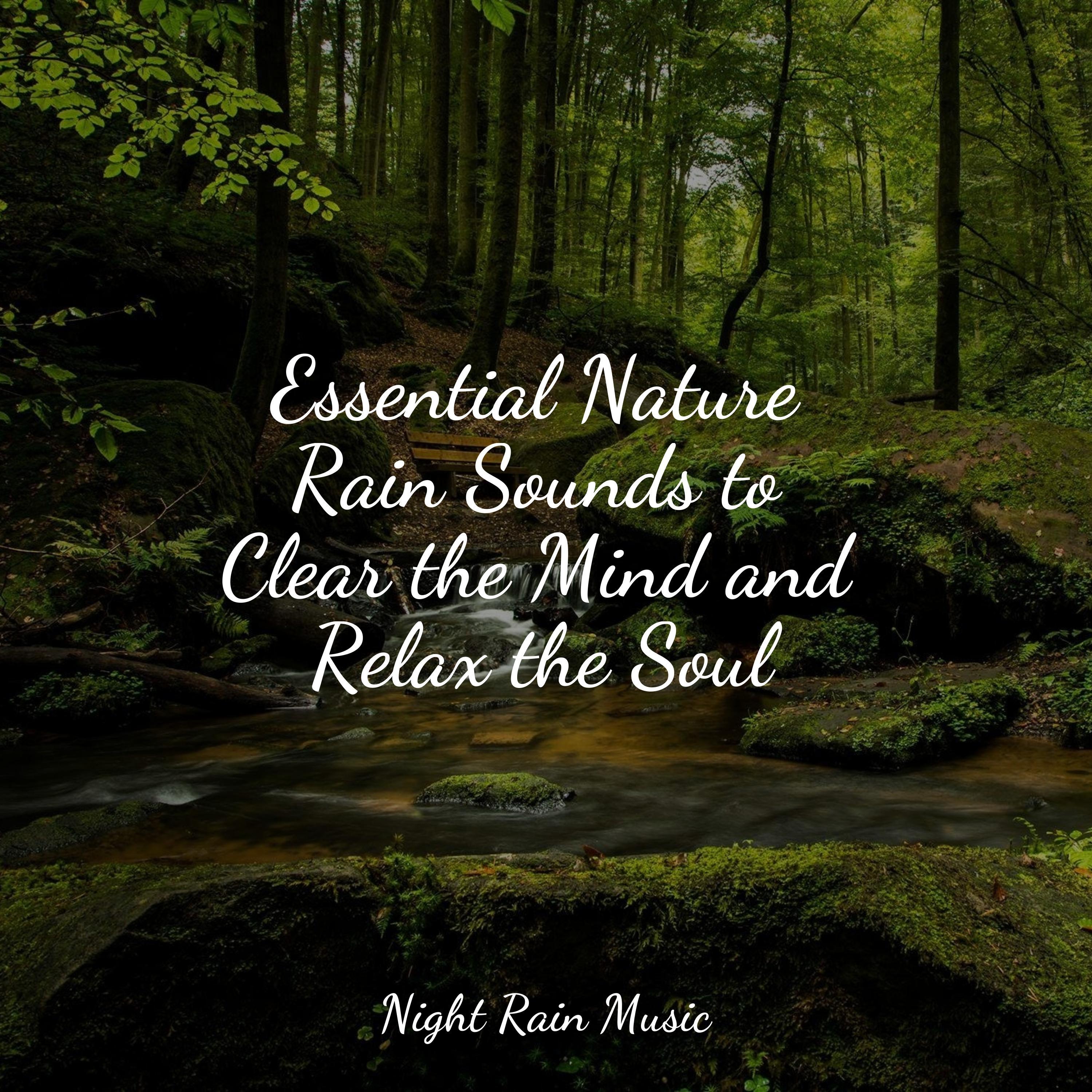 Essential Nature Rain Sounds to Clear the Mind and Relax the Soul