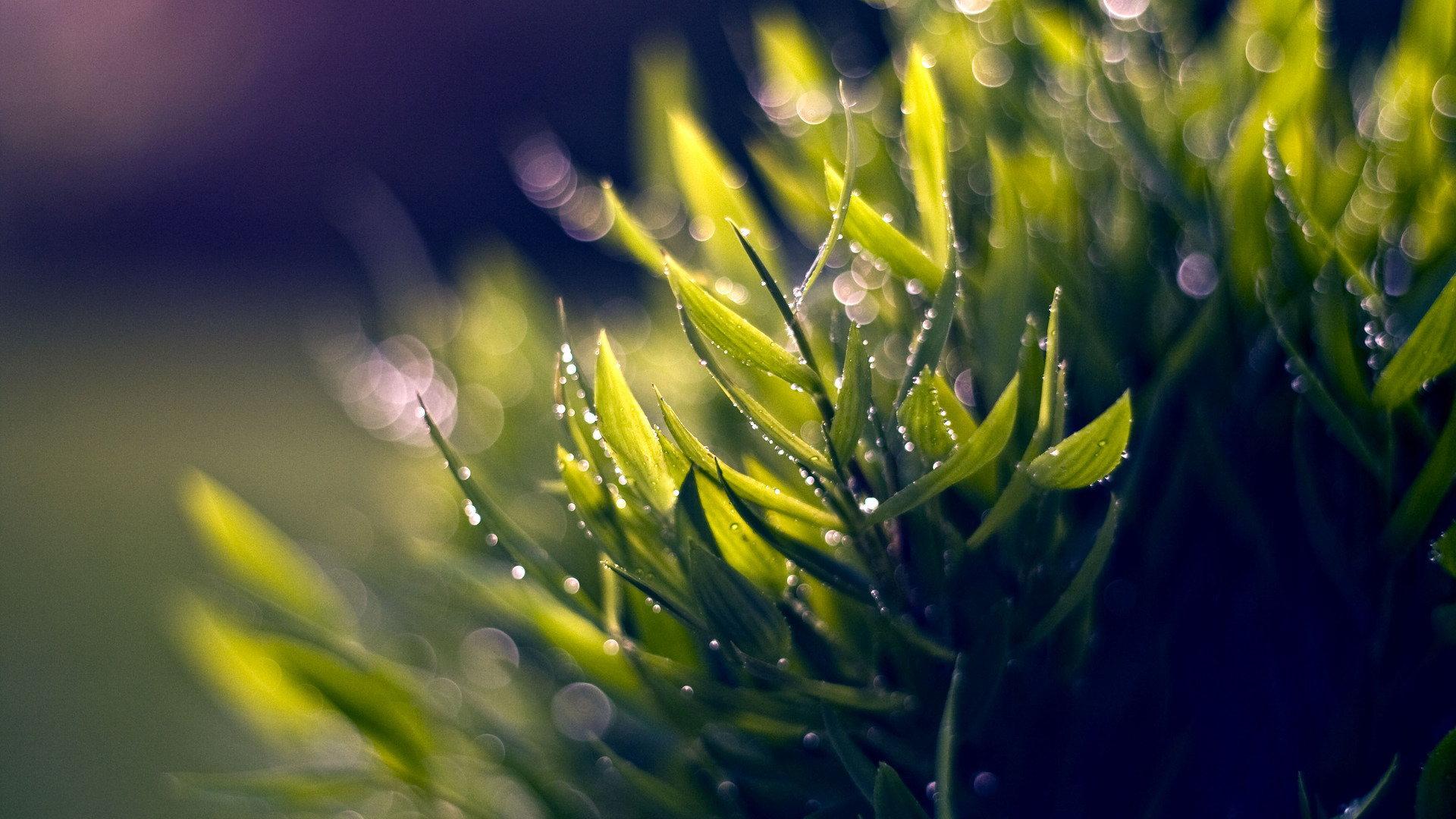 秋雨专辑