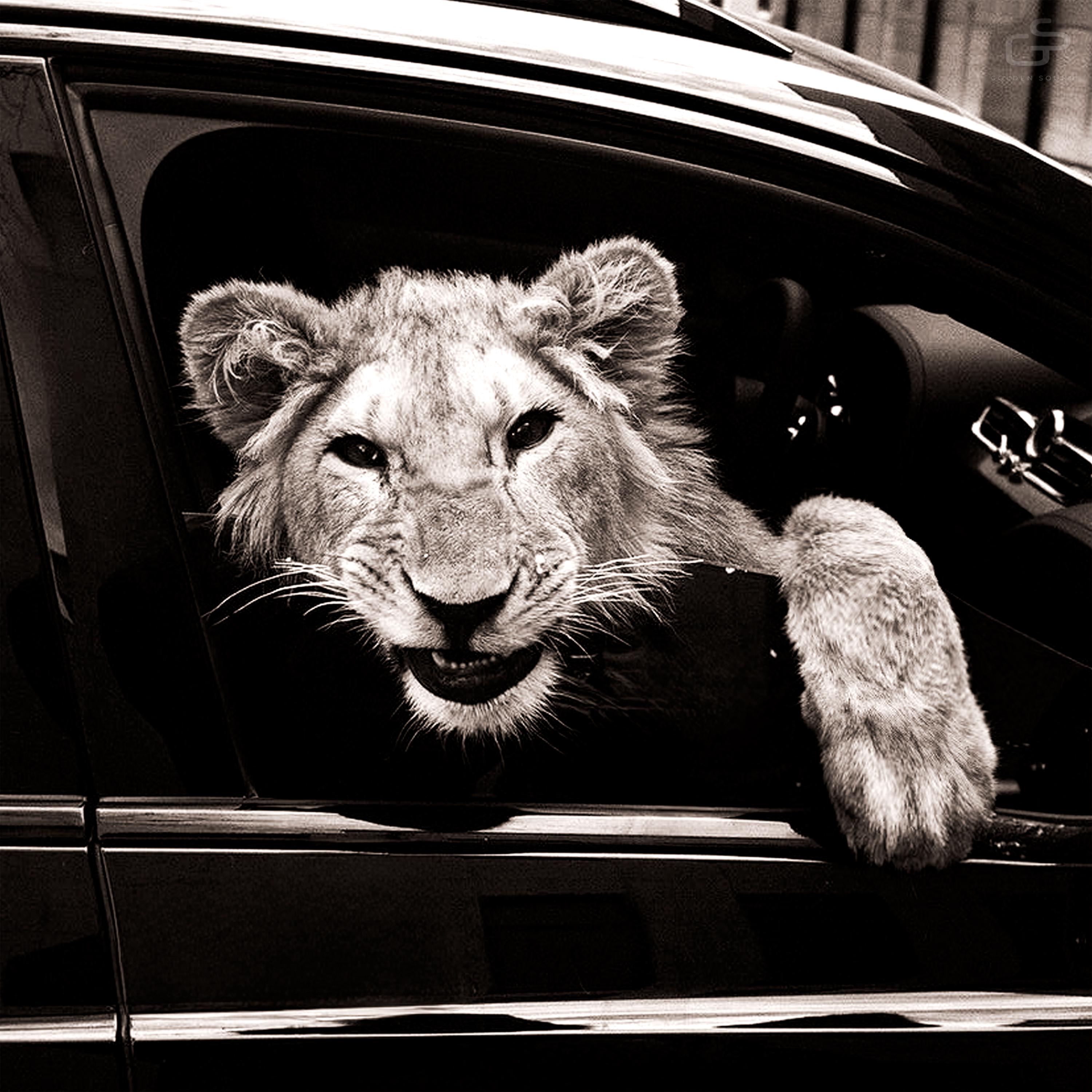 Спокойной ночи