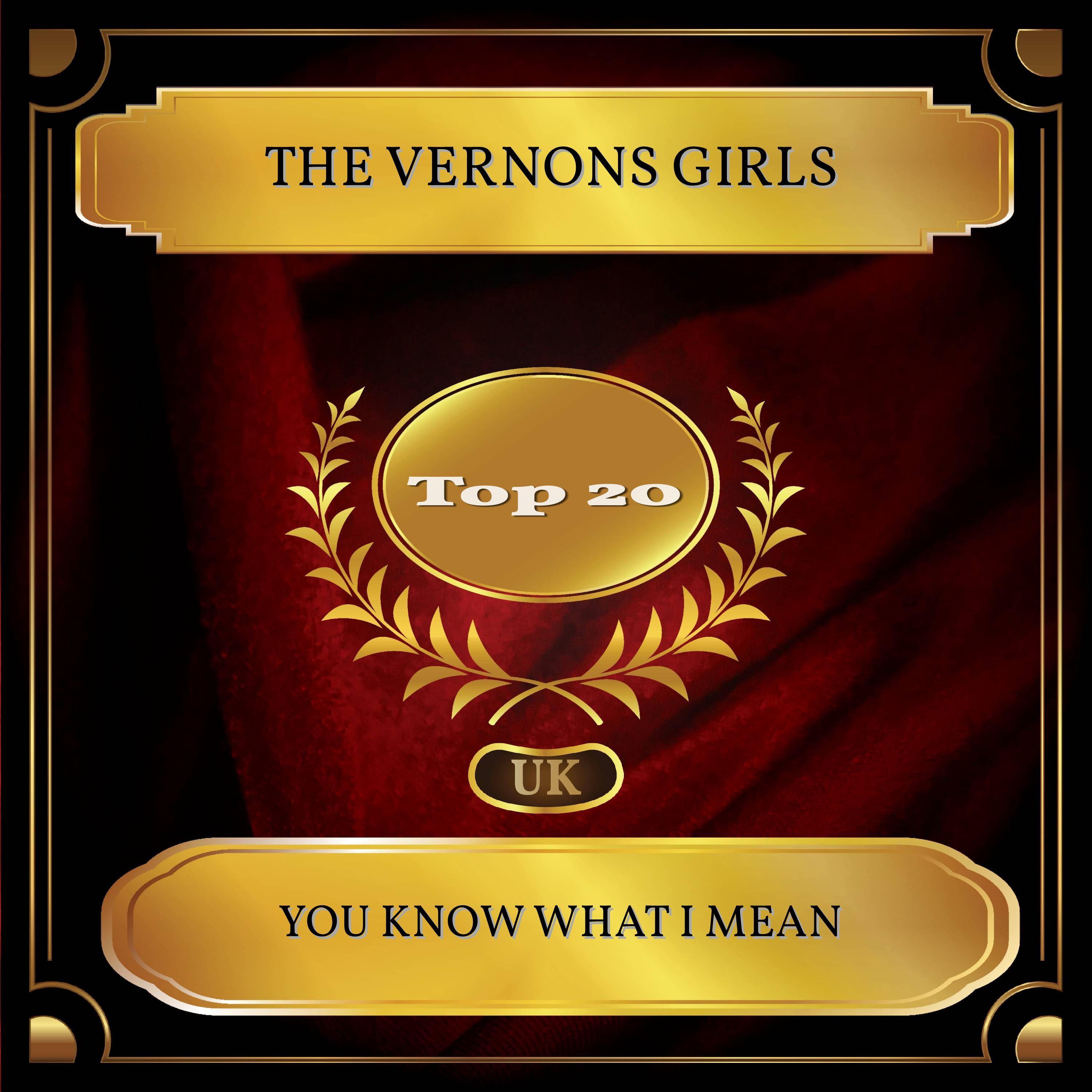 You Know What I Mean (UK Chart Top 20 - No. 14)
