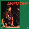 Anemone on Audiotree Live