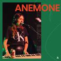 Anemone on Audiotree Live专辑