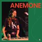 Anemone on Audiotree Live专辑