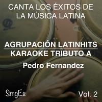 Pedrito Fernandez - Fueron Tres Anos (karaoke)