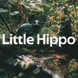 Little Hippo 小河马歌手图片