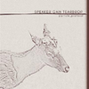 SPEAKER GAIN TEARDROP - COLOPHON#02 (kashiwa daisuke remix)