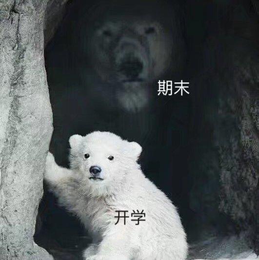 北京大学 毕明辉《西方音乐欣赏》课程曲目