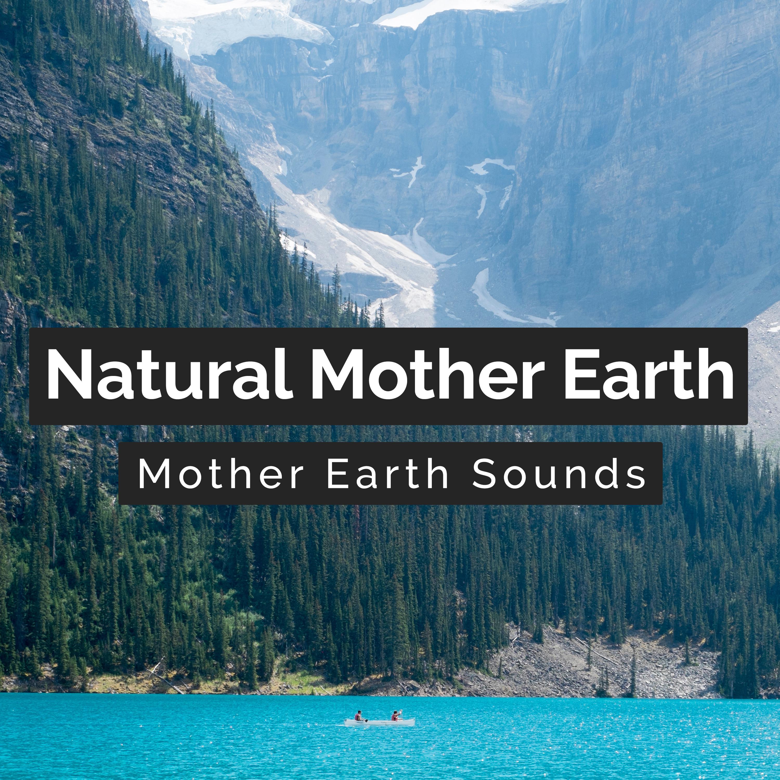 Mother Earth Sounds - Mallards on the Canal