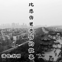 比悲伤更悲伤的故事专辑