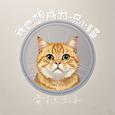 我也想成为一只小猫