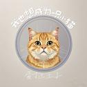 我也想成为一只小猫专辑