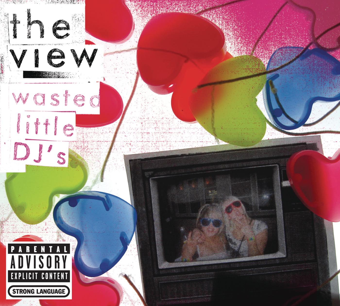 Wasted Little DJ's (Single Version)