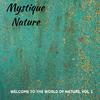 Cozy Nature Soothing Music Library - Migratory Elk Bugle
