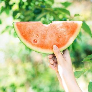 耳朵喜欢你，赏味无限期