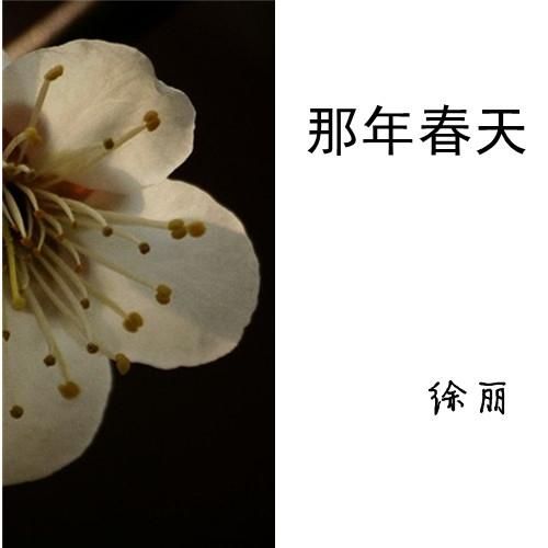 那年春天