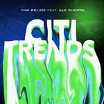 Citi Trends专辑