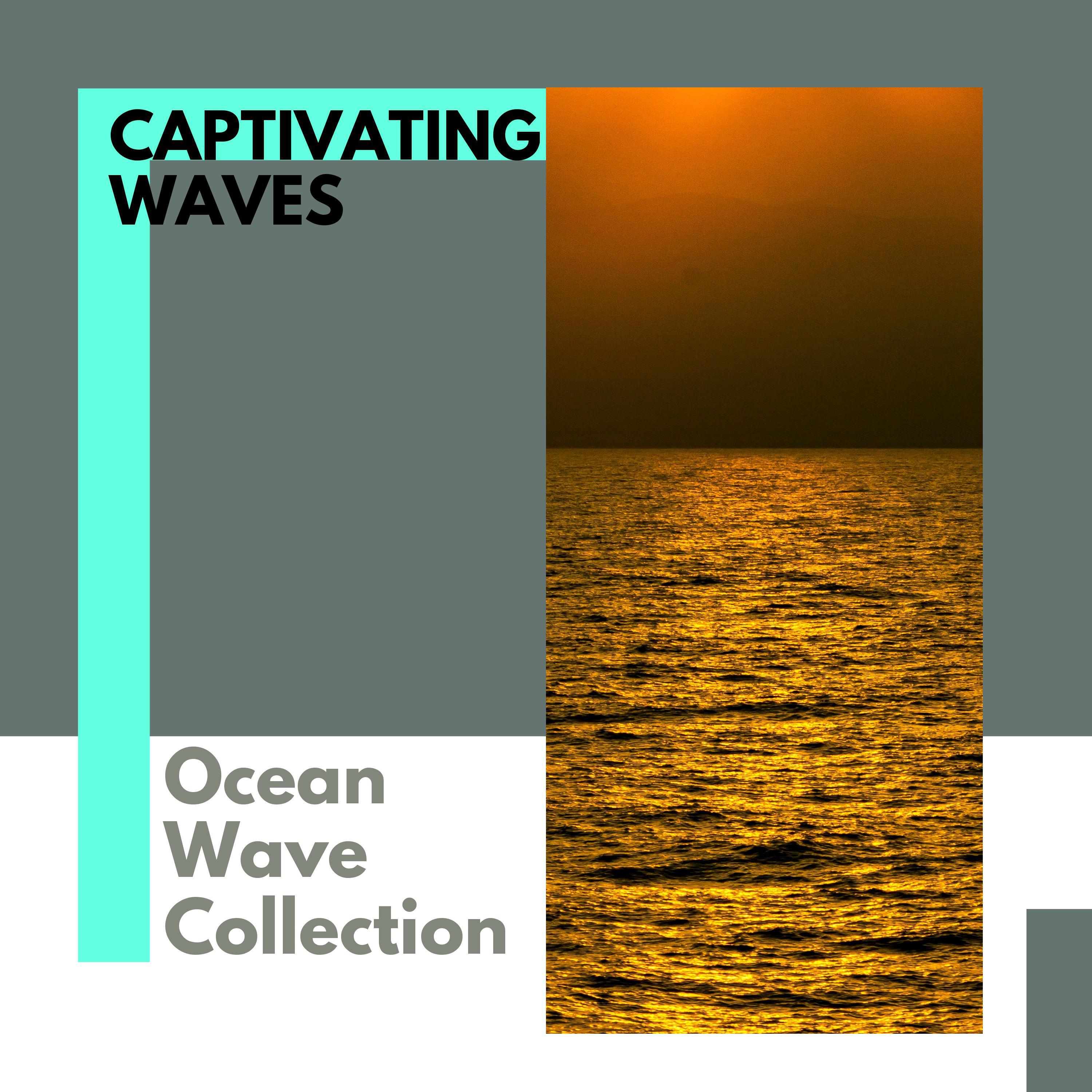 Kelvin Waves Motion Records - Humble Waves Rainforest Harmony