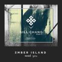 Need You (Gill Chang Remix)专辑