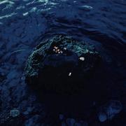 冬·屯渡