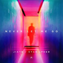 Never Let Me Go