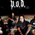 P.O.D.