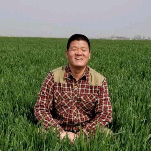 田野上的繁荣（刚酱の奇妙歌单）